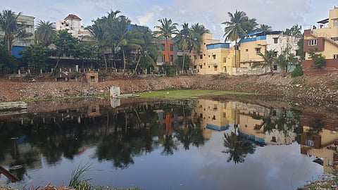 The Puliyakeni pond in Velachery which was one of the toughest restoration projects, after revival