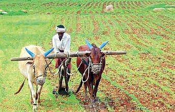 Image used for representational purpose only. (File photo | EPS))