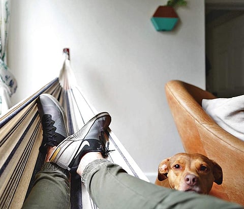 Photo by Drew Coffman on Unsplash