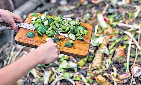 Breaking down the rules of composting