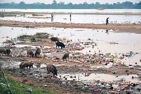 Waste piled up on the banks of Mahanadi river