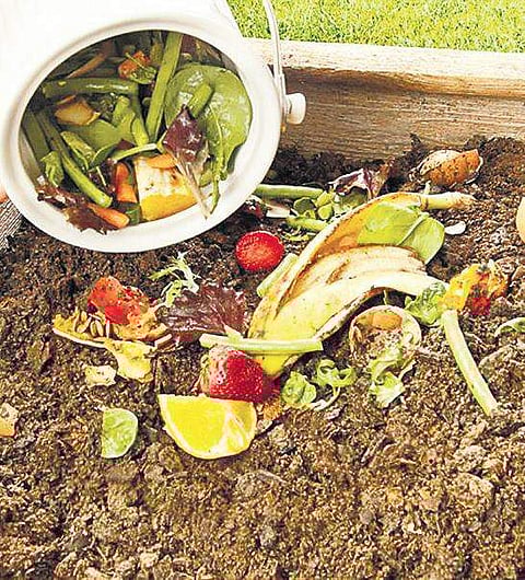 Compost your waste to give back to Earth
