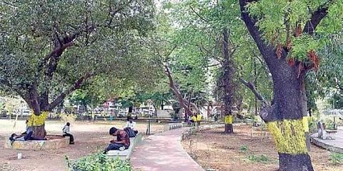 For representational purposes ( File Photo | EPS)