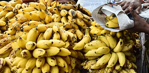 For representational purpose (Photo| EPS)