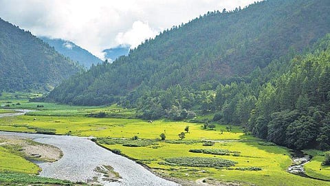 10th edition of CMS Vatavaran – International Environment & Wildlife Film Festival has Celebrating Himalayas as its main theme. (File Photo)