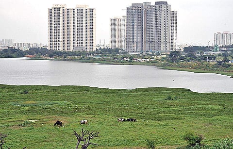 'Hulimavu Lake' used for representational purposes only