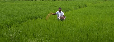 Image of a farmer used for representational purposes.
