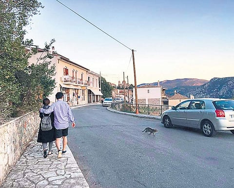 Calm before NY storm