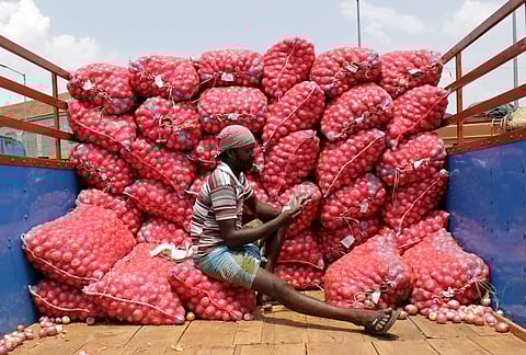 Onion traders say that the prices might not come down anytime soon. (Photo | Ashwin Prasath)