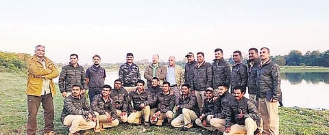 A team of 18 forest officials from Bandipur Tiger Reserve, special tiger protection force, at Kaziranga National Park in Assam on Monday | Express