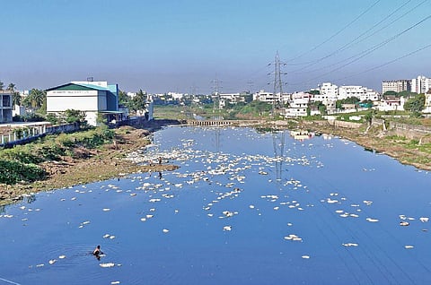 The polluted Cooum river near Madhuravoyal in Chennai | Shiba prasad sahu