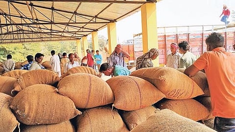 Paddy bags in a procurement centre in Kalahandi district