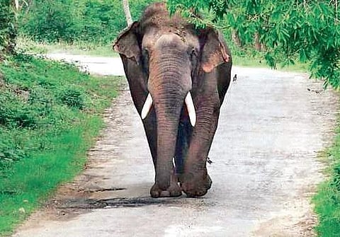 For representational purposes