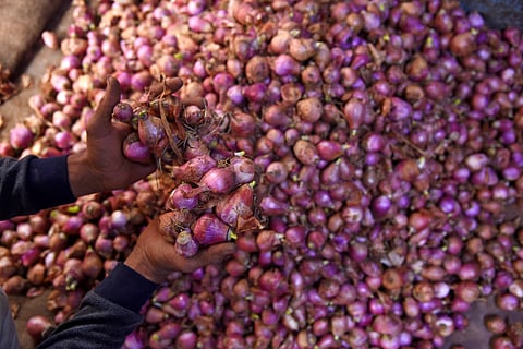 For representational purposes. (Photo | R Satish Babu, EPS)