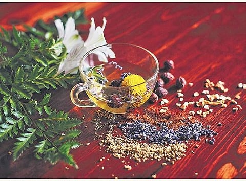 Ayurveda without fear