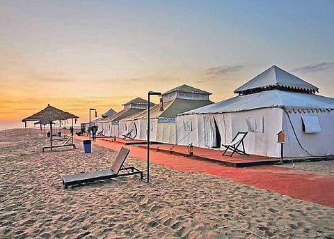 Luxury cottages built for the Eco Retreat festival. (Photo | EPS)