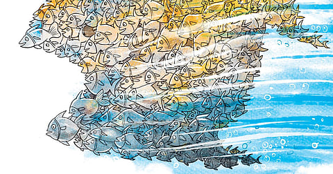 Maha alliance and the instinct for survival