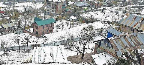 Srinagar and other places in Kashmir also recorded sub-zero temperature on Sunday | PTI