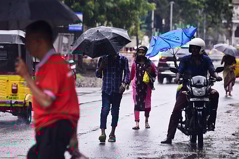 Some low-lying areas in Chennai and nearby Chenglepet and Kancheepuram districts were inundated following the downpour. (Photo | EPS)