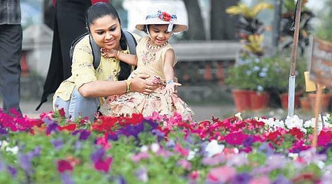 A mother and child enjoying the flower show organised by the State Tourism Department at Kanakakunnu ground