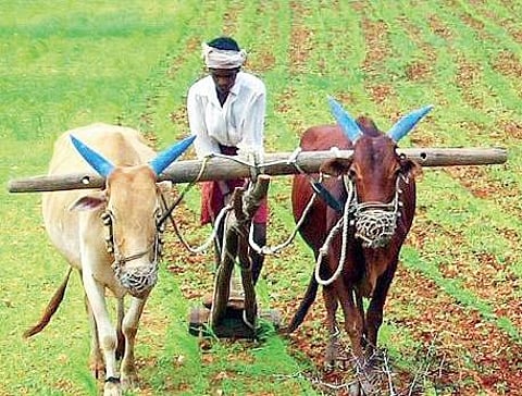 For representation purposes (File Photo | EPS)