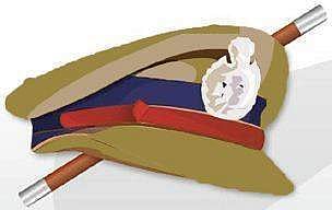 For representational purpose (Express Illustrations)