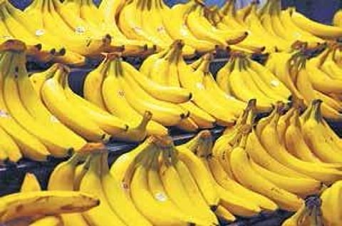Are bananas fattening?
