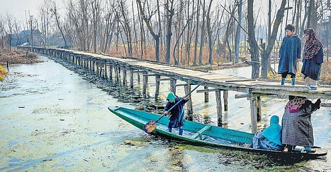 A child breaks an ice layer formed on the surface of the Dal Lake due to severe cold in Srinagar. (Photo | PTI)