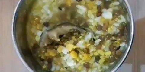 A dead rat in mid-day meal. (Photo | Twitter Screengrab)