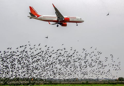 In 2018-19, Air India's net loss is provisionally estimated to be Rs 8,556.35 crore. (File Photo | PTI)