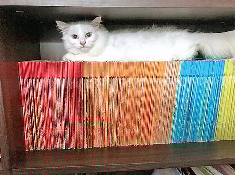 It’s a new decade, think ‘smart’