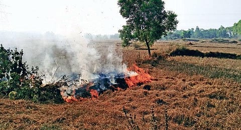 A heap of paddy straw burning in an agriultural land in Jeypore. (Photo | EPS)