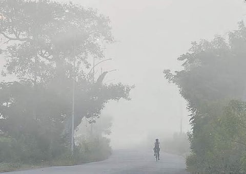 Dense fog blurs a city road on Thursday morning | Vinay Madapu
