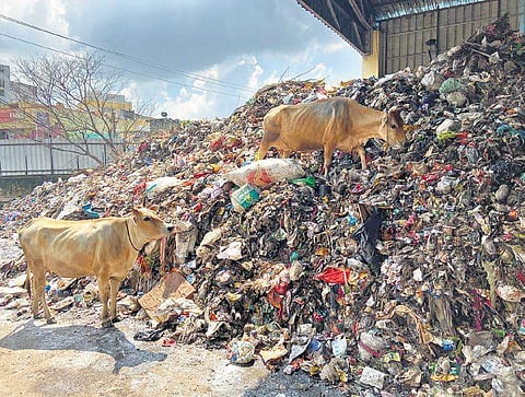 Image is used for representational purposes.