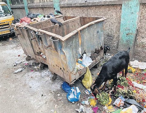 The replacement and maintenance of the bins have been outsourced to private contractors | Express