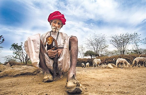 Photographs from the book