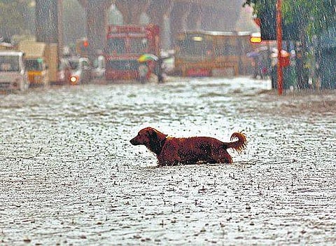 Photo for representational purpose