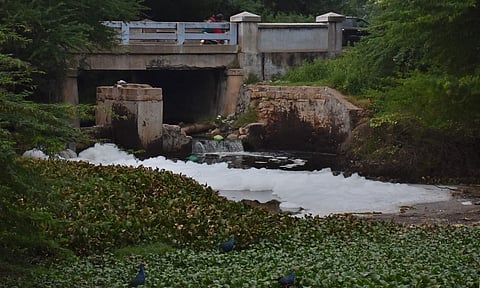 Noyyal River frothing in Coimatore. (Photo | Express)