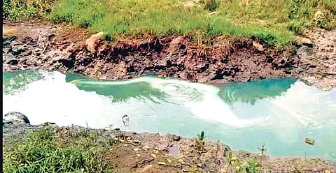 Oil floating in a creek of Kaudia river | Express