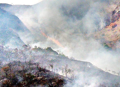 Forest fire on the Banasura Hill in Wayanad | Express
