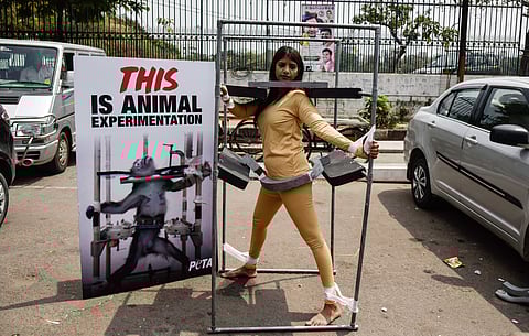 An activist of People for the Ethical Treatment of Animals PETA protesting against conducting scientific experiments on animals near Indira Park.| VINAY MADAPU