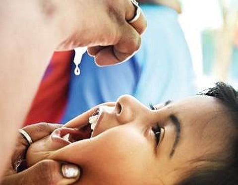 A child being administered polio drops at a goverment school in Keelkattalai on Sunday. (Photo | Ashwin Prasadh, EPS)