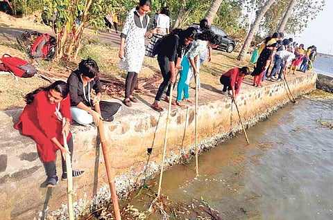 The students of SH College, Thevara, cleaning the Vembanad Lake as part of the campaign.