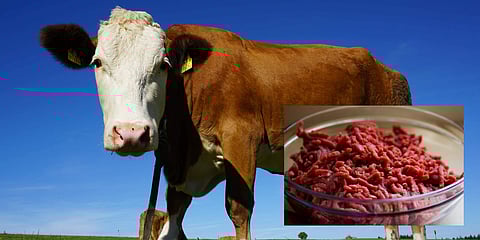 Image used for representational purpose.