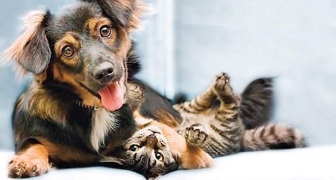 For representational purposes