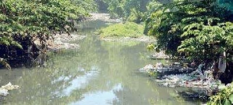 Image used for representational purpose.