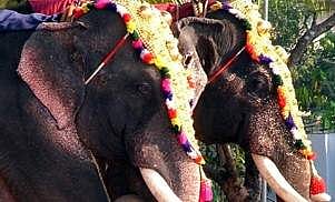 For representational purposes (File | EPS)