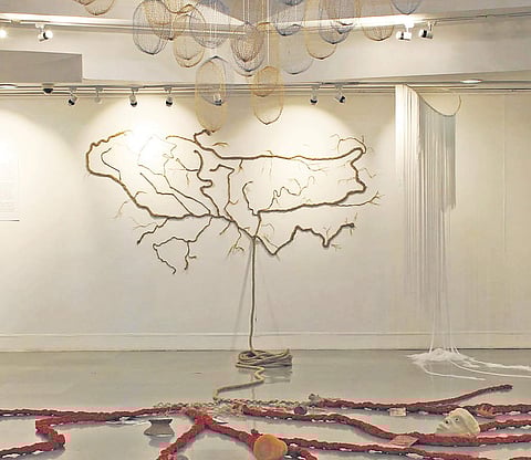 Get to know Brahmaputra river better