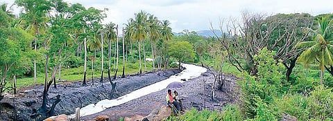 A year on, sewage continues to flow into Byramangala lake