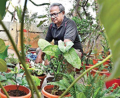 Abhay Kumar Ghosh, a retired BSF officer, started gardening nine months agoPic Credit: Pushkar V